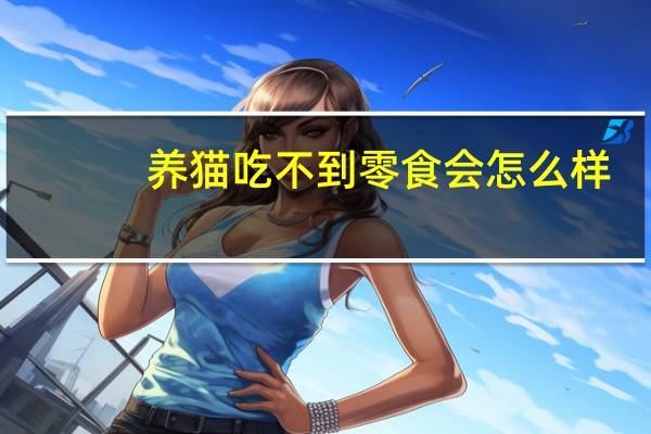 养猫吃不到零食会怎么样