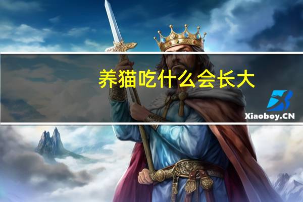 养猫吃什么会长大