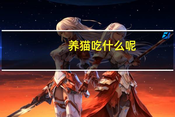 养猫吃什么呢
