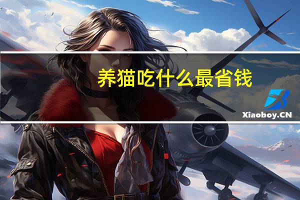 养猫吃什么最省钱