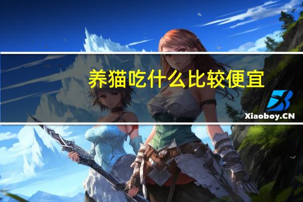 养猫吃什么比较便宜