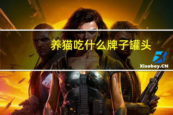 养猫吃什么牌子罐头