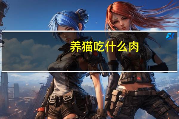 养猫吃什么肉