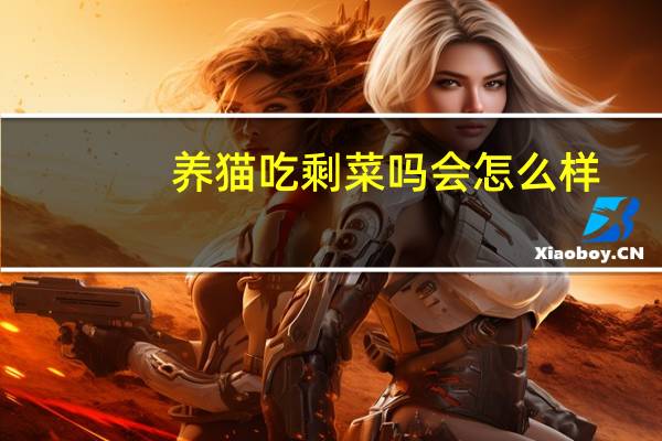 养猫吃剩菜吗会怎么样