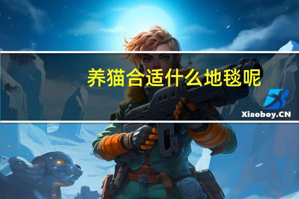 养猫合适什么地毯呢