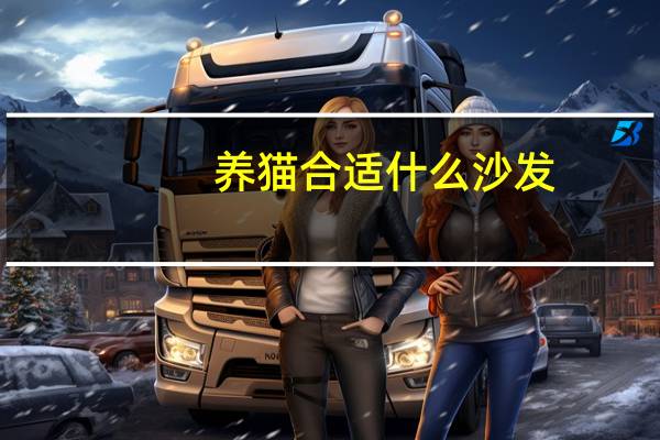 养猫合适什么沙发