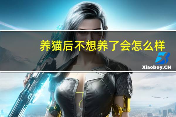 养猫后不想养了会怎么样