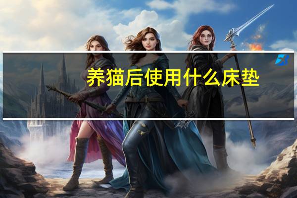 养猫后使用什么床垫