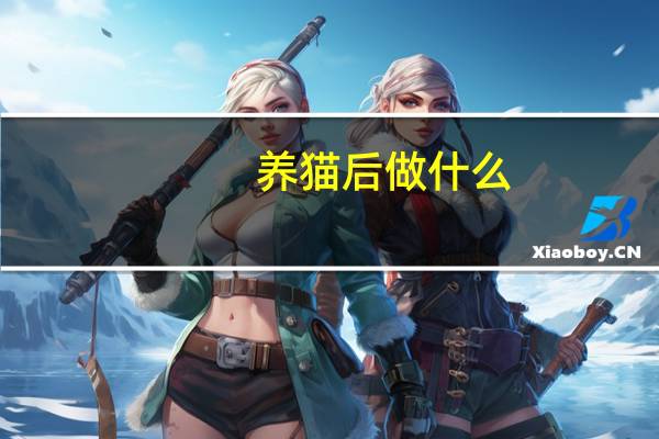 养猫后做什么