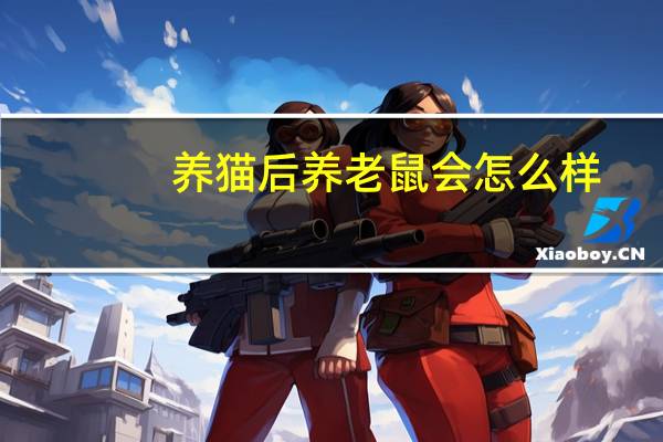 养猫后养老鼠会怎么样