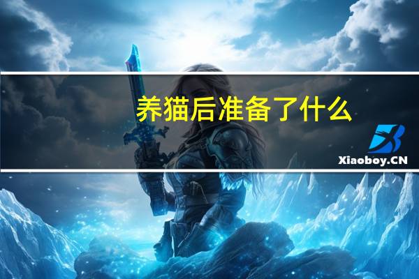 养猫后准备了什么