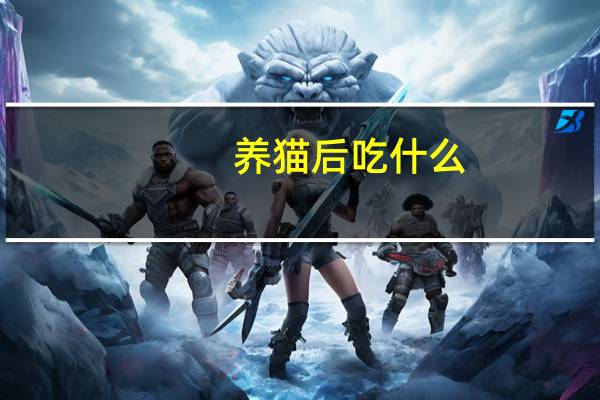 养猫后吃什么