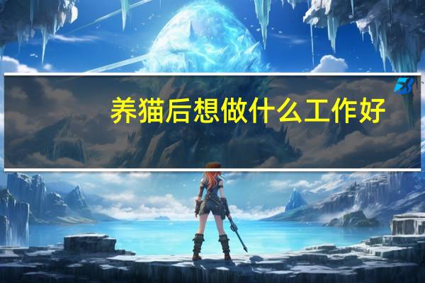 养猫后想做什么工作好