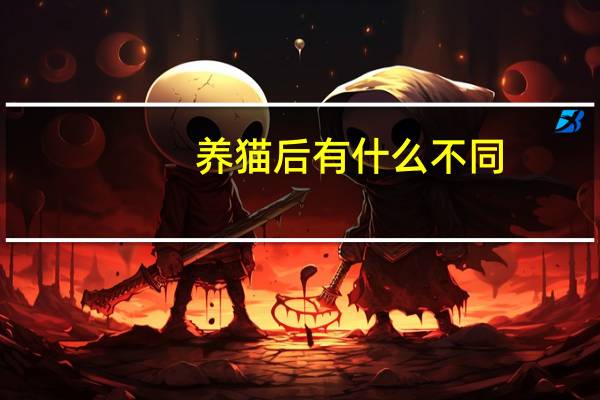 养猫后有什么不同