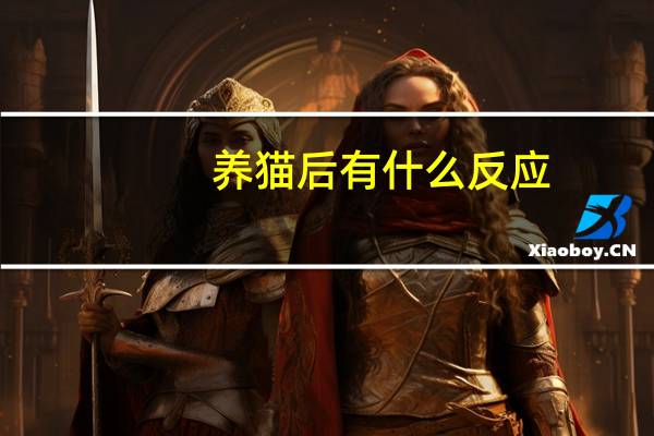 养猫后有什么反应