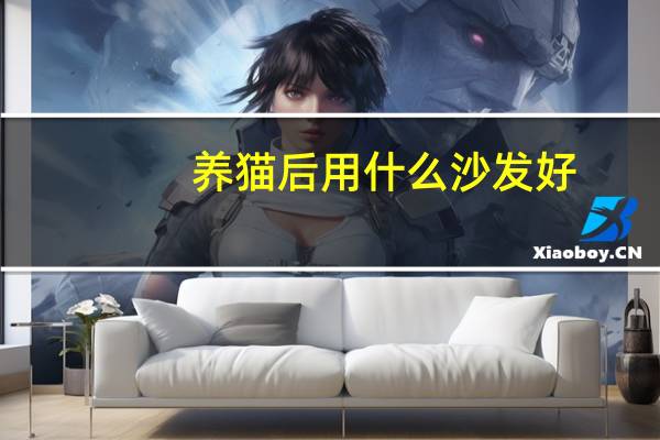 养猫后用什么沙发好