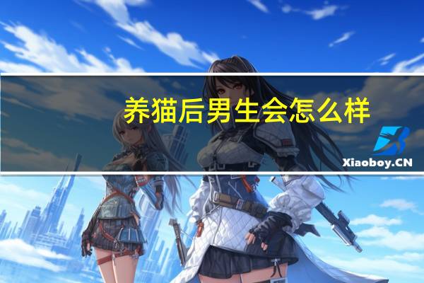 养猫后男生会怎么样