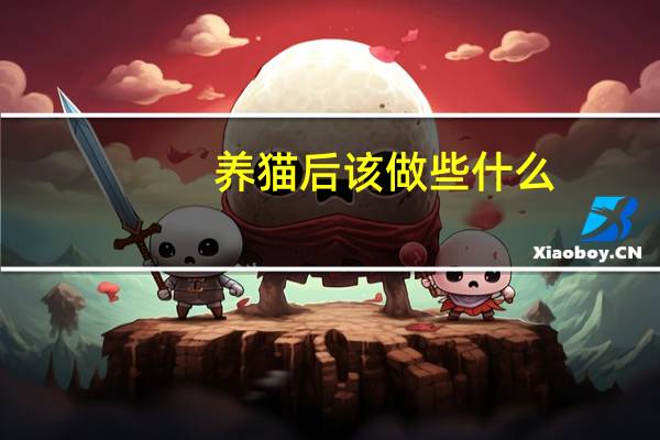 养猫后该做些什么