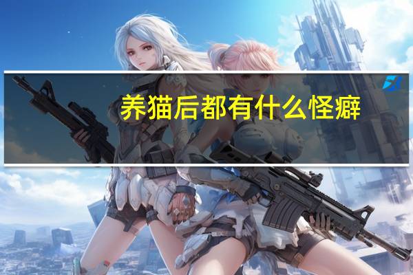 养猫后都有什么怪癖