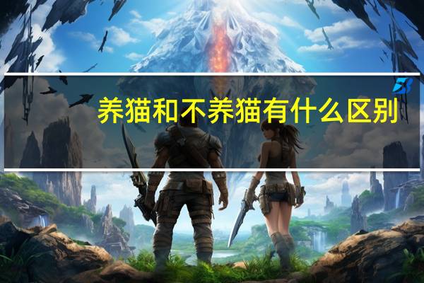 养猫和不养猫有什么区别