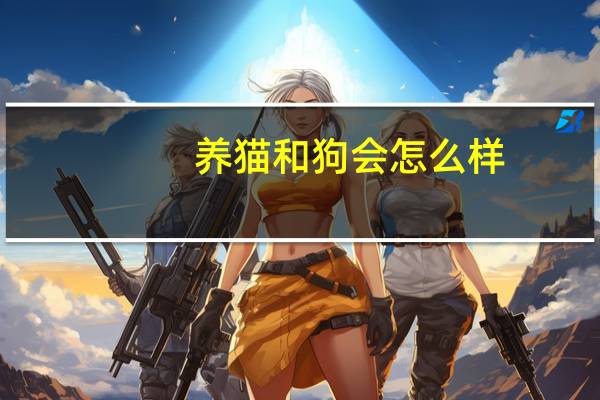 养猫和狗会怎么样