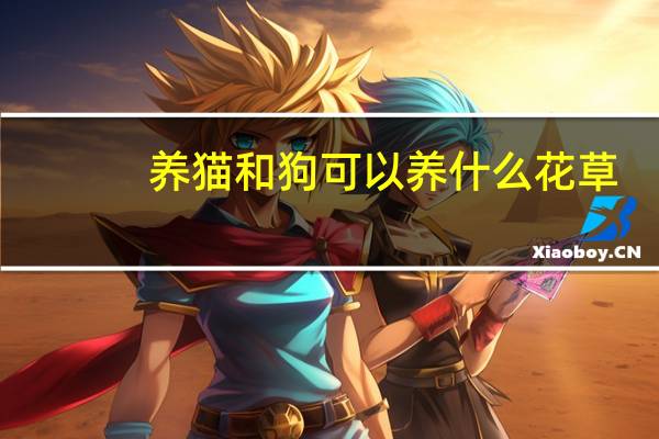 养猫和狗可以养什么花草