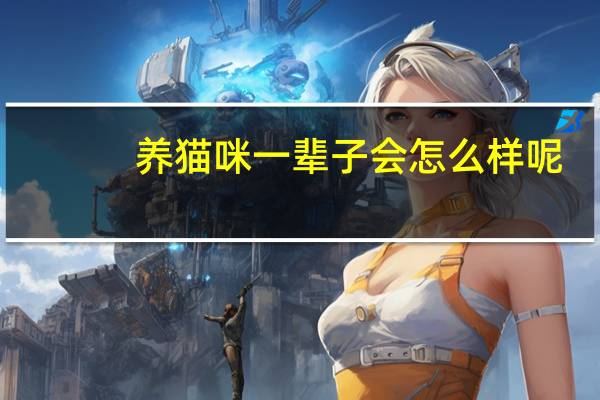 养猫咪一辈子会怎么样呢