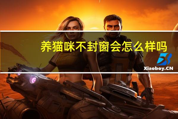 养猫咪不封窗会怎么样吗