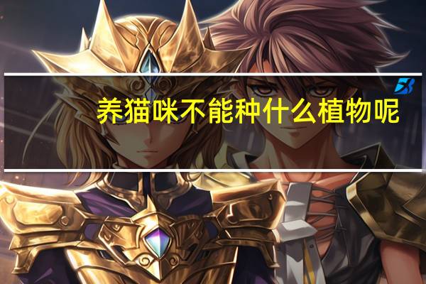 养猫咪不能种什么植物呢