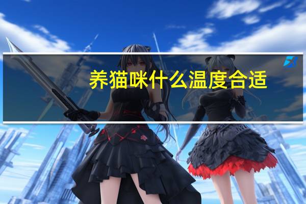 养猫咪什么温度合适