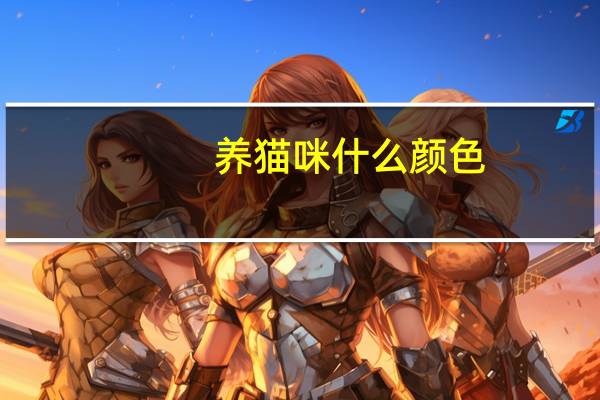 养猫咪什么颜色