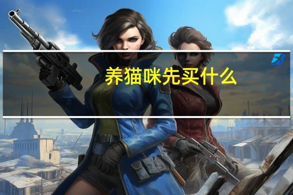 养猫咪先买什么