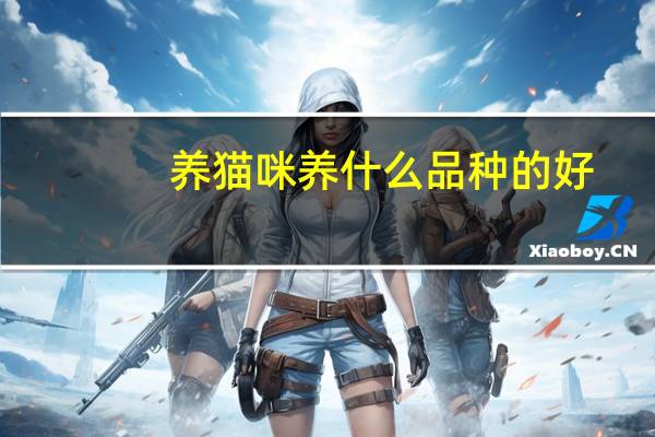 养猫咪养什么品种的好