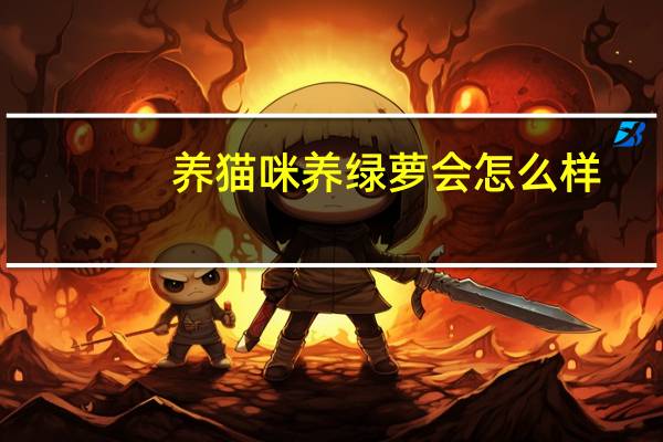 养猫咪养绿萝会怎么样