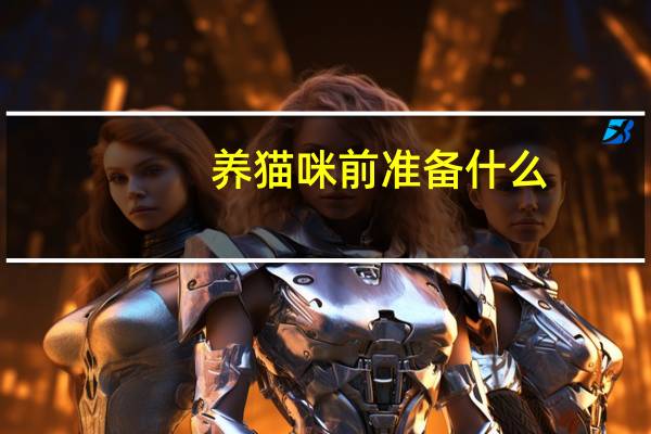 养猫咪前准备什么