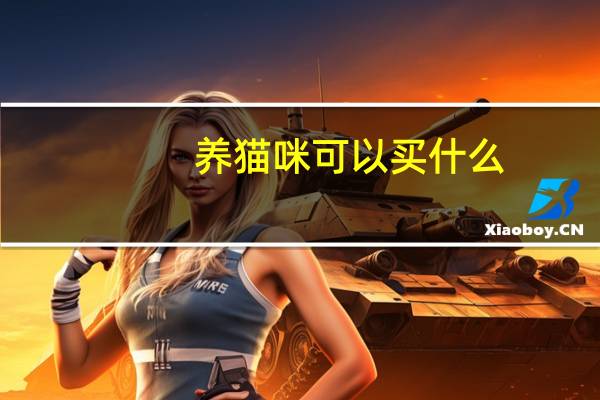 养猫咪可以买什么