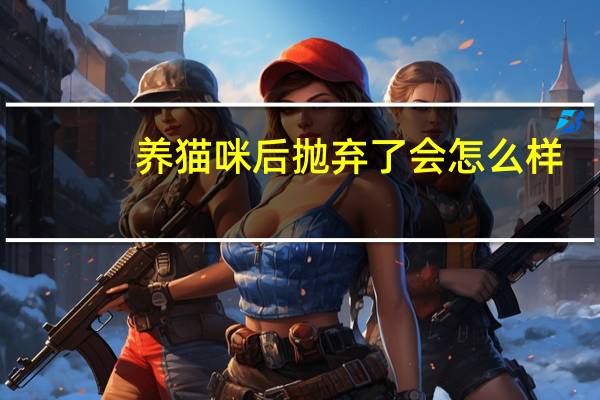 养猫咪后抛弃了会怎么样