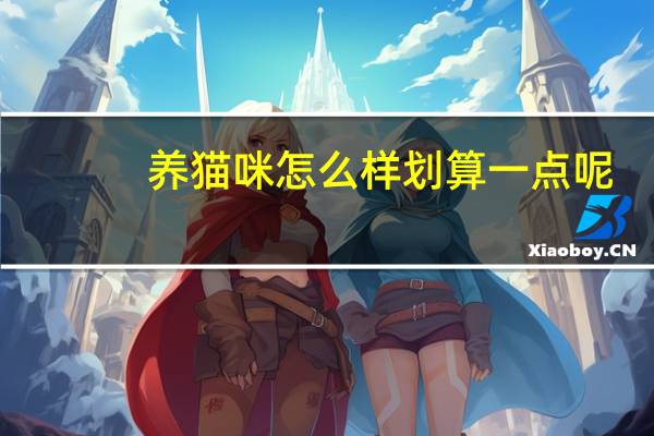 养猫咪怎么样划算一点呢