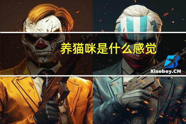 养猫咪是什么感觉