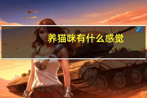 养猫咪有什么感觉