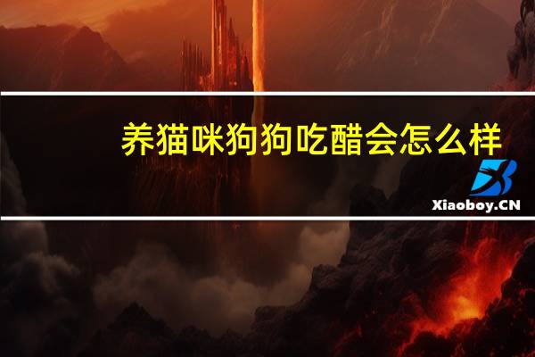 养猫咪狗狗吃醋会怎么样