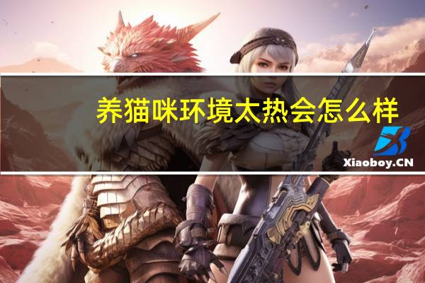 养猫咪环境太热会怎么样