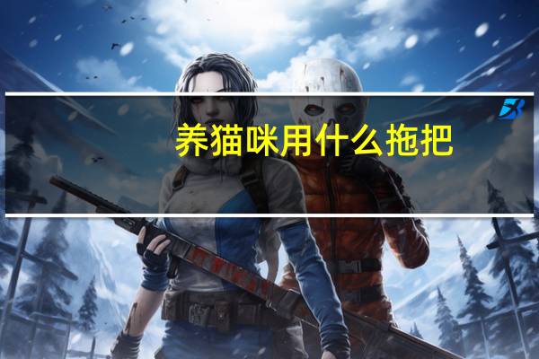 养猫咪用什么拖把