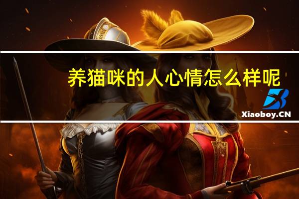 养猫咪的人心情怎么样呢