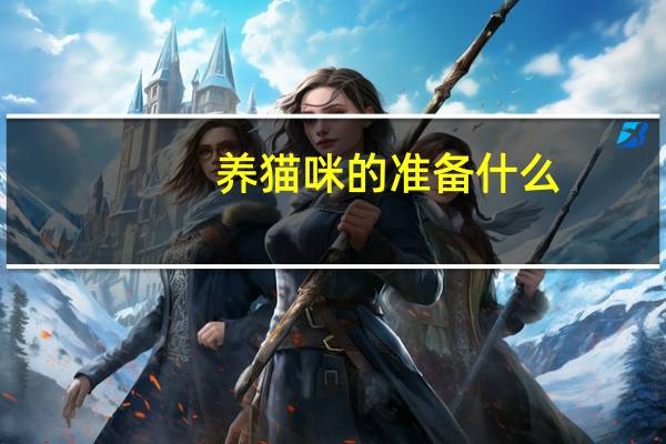 养猫咪的准备什么