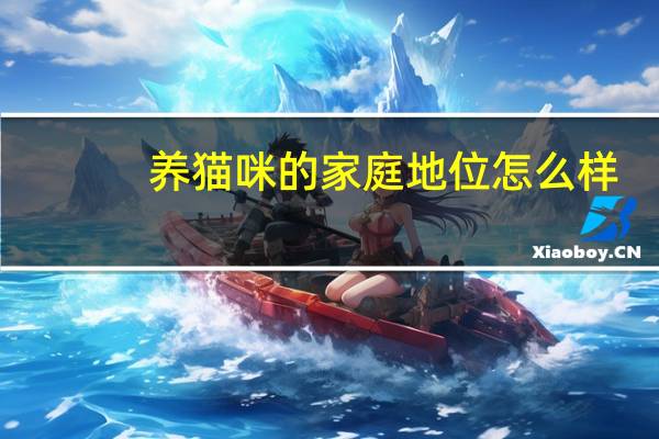 养猫咪的家庭地位怎么样