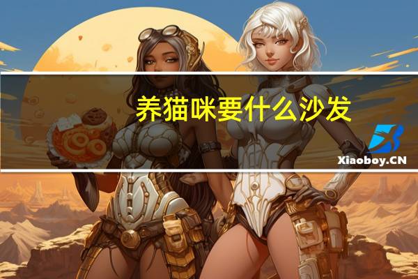 养猫咪要什么沙发