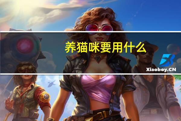 养猫咪要用什么