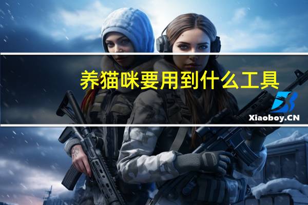 养猫咪要用到什么工具