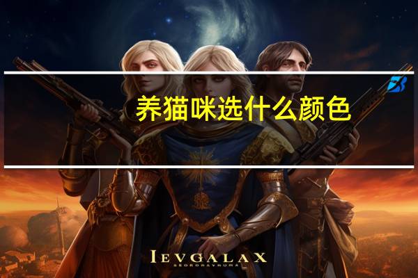 养猫咪选什么颜色